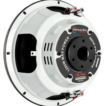 Titanium 12″ Car Subwoofer | 500 Watts RMS | Dual Voice Coil 4 Ohm (Shallow Mount)